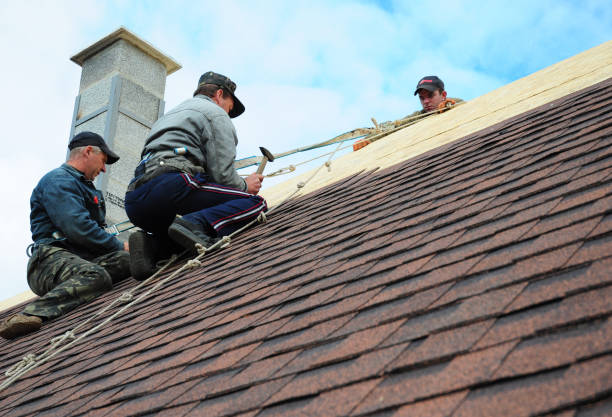 Best Residential Roofing Contractor  in Ketchikan, AK
